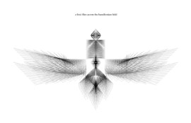 a Bird Flies across the Hamiltonian Field