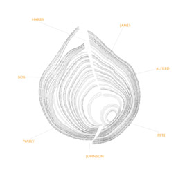 Anatomy of a Breast