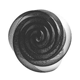 The Rose