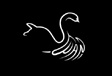 swan