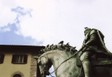 statueandbird
