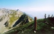 alps7