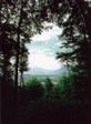 fromwoods