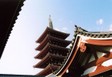 tokyo_shrine