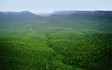 Blue Mountain