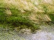 Derby River's water
