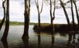 barmah state park