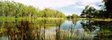 barmah state park