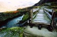 bridge