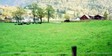 farm