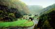 flam1