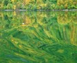 impressionistshadow