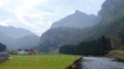 pasture2