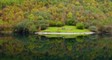 secludedhouse