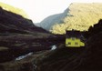 stickyhouse