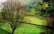 valleyandsheeps