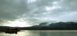 voss