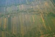 aerial5