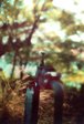 lonely tap