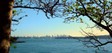 watsonbay06_1