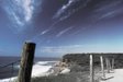 bell's beach