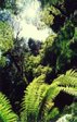 melba gully state park