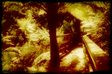 melba gully state park