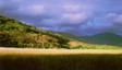 2006pasture